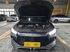 2024 BYD Song Pro Glory Edition DM-i PHEV 110km — фото 20