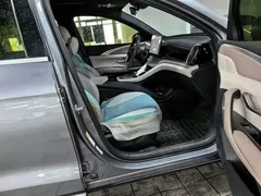 2024 BYD Song Pro Glory Edition DM-i PHEV 110km — фото 25