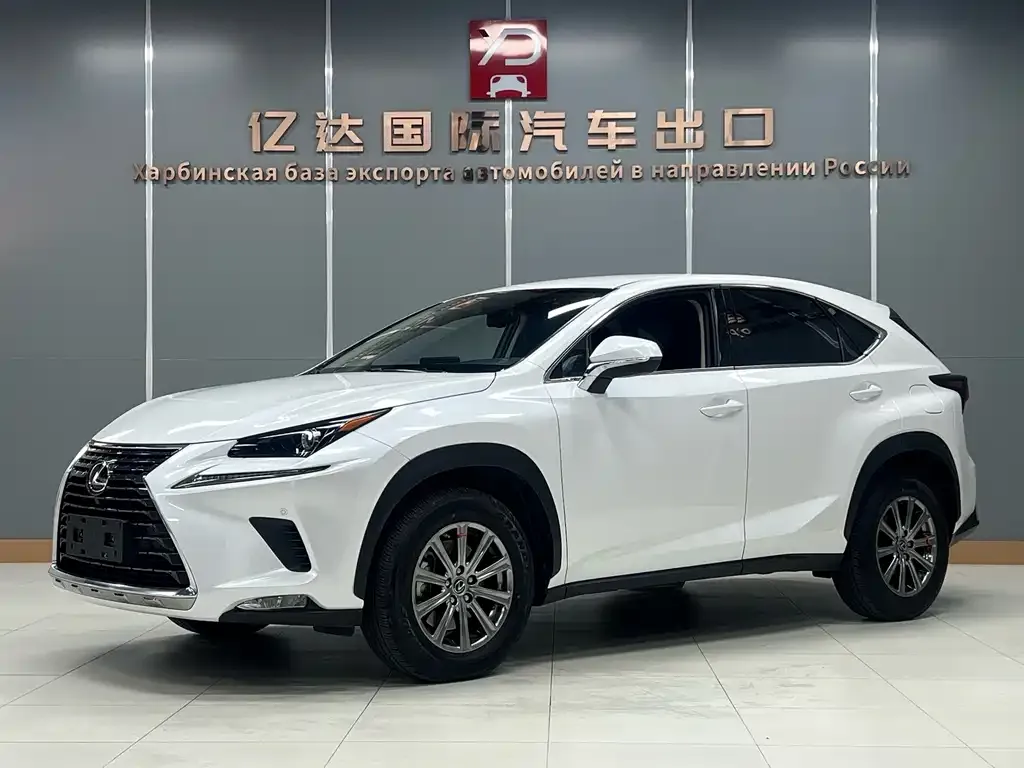 2020 Lexus NX 200 2WD Fengxing China VI