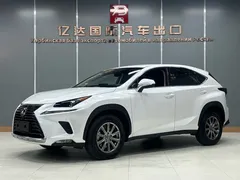 2020 Lexus NX 200 2WD Fengxing China VI, белый — фото 1