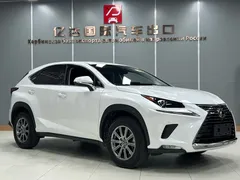 2020 Lexus NX 200 2WD Fengxing China VI, белый — фото 3