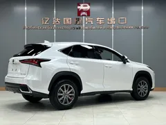 2020 Lexus NX 200 2WD Fengxing China VI, белый — фото 4