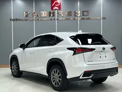 2020 Lexus NX 200 2WD Fengxing China VI, белый — фото 6