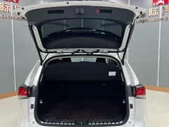 2020 Lexus NX 200 2WD Fengxing China VI, белый — фото 23