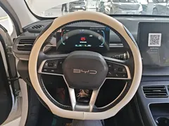 2024 BYD Destroyer 05 DM-i PHEV 55km Luxury, белый — фото 11