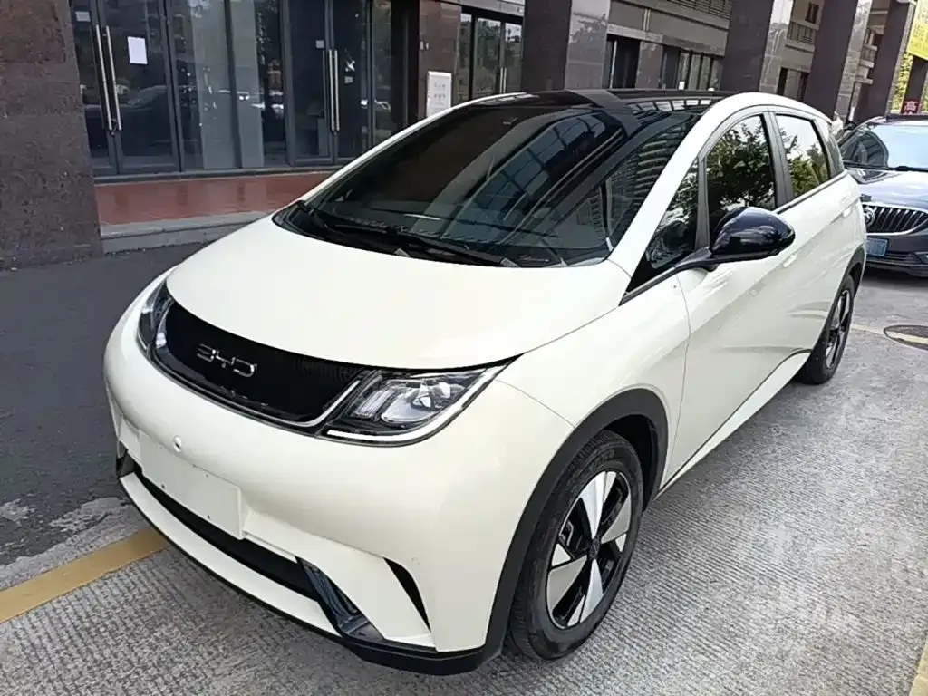 2023 BYD Dolphin 420km Fashion