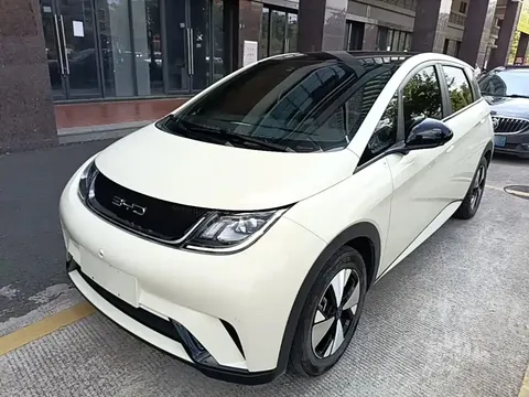 2023 BYD Dolphin 420km Fashion