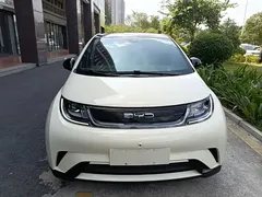 2023 BYD Dolphin 420km Fashion, белый — фото 3