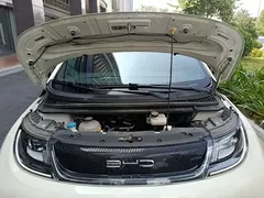 2023 BYD Dolphin 420km Fashion, белый — фото 20