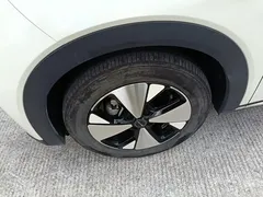 2023 BYD Dolphin 420km Fashion, белый — фото 23