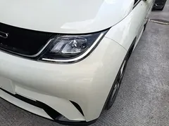 2023 BYD Dolphin 420km Fashion, белый — фото 24