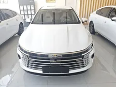 2024 BYD Destroyer 05 DM-i PHEV 55km Luxury, белый — фото 3