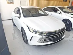 2024 BYD Destroyer 05 DM-i PHEV 55km Luxury, белый — фото 4