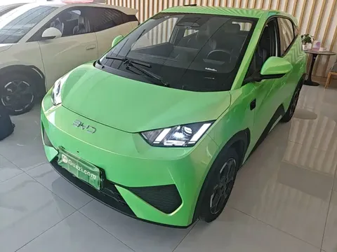 2025 BYD Seagull Smart Driving 305km Freedom