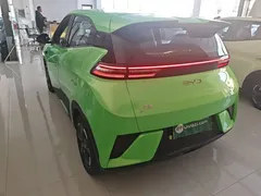 2025 BYD Seagull Smart Driving 305km Freedom, зелёный — фото 5