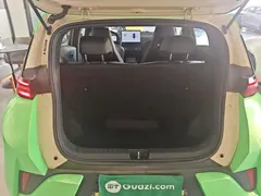 2025 BYD Seagull Smart Driving 305km Freedom, зелёный — фото 19
