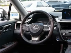 2020 Lexus RX 450hL 4WD 7-Seat — фото 15