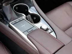 2020 Lexus RX 450hL 4WD 7-Seat — фото 19