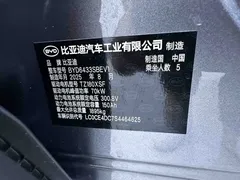2025 BYD Yuan UP Smart Driving 401km Vitality — фото 21