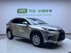 2020 Lexus NX 200 4WD Fashion — фото 3