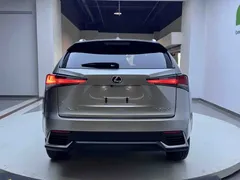 2020 Lexus NX 200 4WD Fashion — фото 5