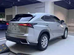 2020 Lexus NX 200 4WD Fashion — фото 6