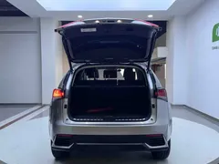2020 Lexus NX 200 4WD Fashion — фото 24