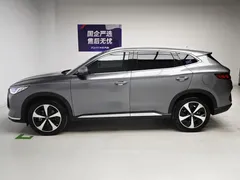 2021 BYD Song PLUS DM-i PHEV 110KM Flagship Plus — фото 9