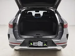 2021 BYD Song PLUS DM-i PHEV 110KM Flagship Plus — фото 11