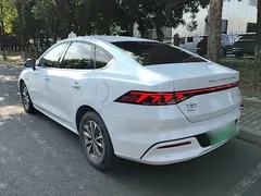 2024 BYD Qin PLUS Honor DM-i PHEV 55km Leading, белый — фото 5