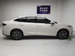 2024 BYD Seal 06 DM-i PHEV 120km Premium, белый — фото 7