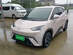 2024 BYD Seagull EV 305km Honor Freedom, чёрный — фото 1