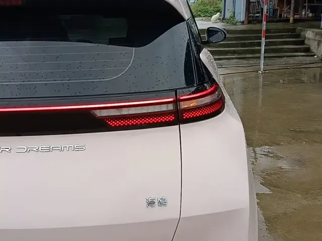 2024 BYD Seagull EV 305km Honor Freedom
