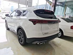 2021 Jetour X70 PLUS 1.5T DCT Shan PRO 7-seat, белый — фото 5