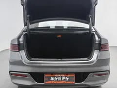 2024 BYD Qin PLUS Honor Edition EV 420km — фото 16