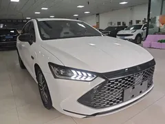 2023 BYD Qin PLUS Champion DM-i PHEV 55km Exceed, белый — фото 4