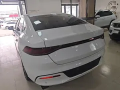 2023 BYD Qin PLUS Champion DM-i PHEV 55km Exceed, белый — фото 5