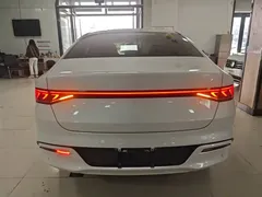 2023 BYD Qin PLUS Champion DM-i PHEV 55km Exceed, белый — фото 6