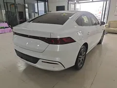 2023 BYD Qin PLUS Champion DM-i PHEV 55km Exceed, белый — фото 7