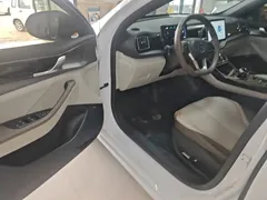 2023 BYD Qin PLUS Champion DM-i PHEV 55km Exceed, белый — фото 16
