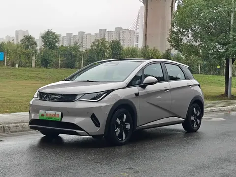 2025 BYD Dolphin Smart Driving 410km Fashion
