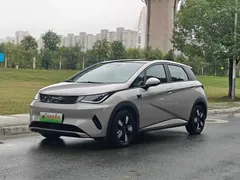 2025 BYD Dolphin Smart Driving 410km Fashion — фото 1