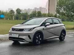 2025 BYD Dolphin Smart Driving 410km Fashion — фото 2