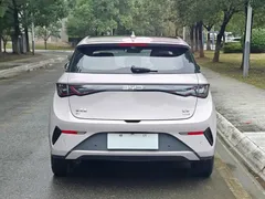 2025 BYD Dolphin Smart Driving 410km Fashion — фото 5