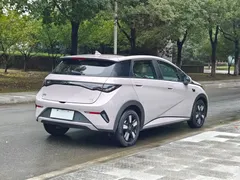 2025 BYD Dolphin Smart Driving 410km Fashion — фото 8