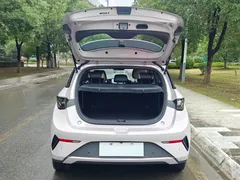 2025 BYD Dolphin Smart Driving 410km Fashion — фото 9