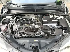 2023 Toyota C-HR 2.0L Luxury, белый — фото 21
