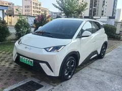 2024 BYD Seagull EV 305km Honor Freedom, белый — фото 1