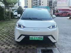 2024 BYD Seagull EV 305km Honor Freedom, белый — фото 2