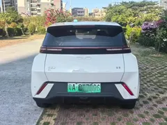 2024 BYD Seagull EV 305km Honor Freedom, белый — фото 5